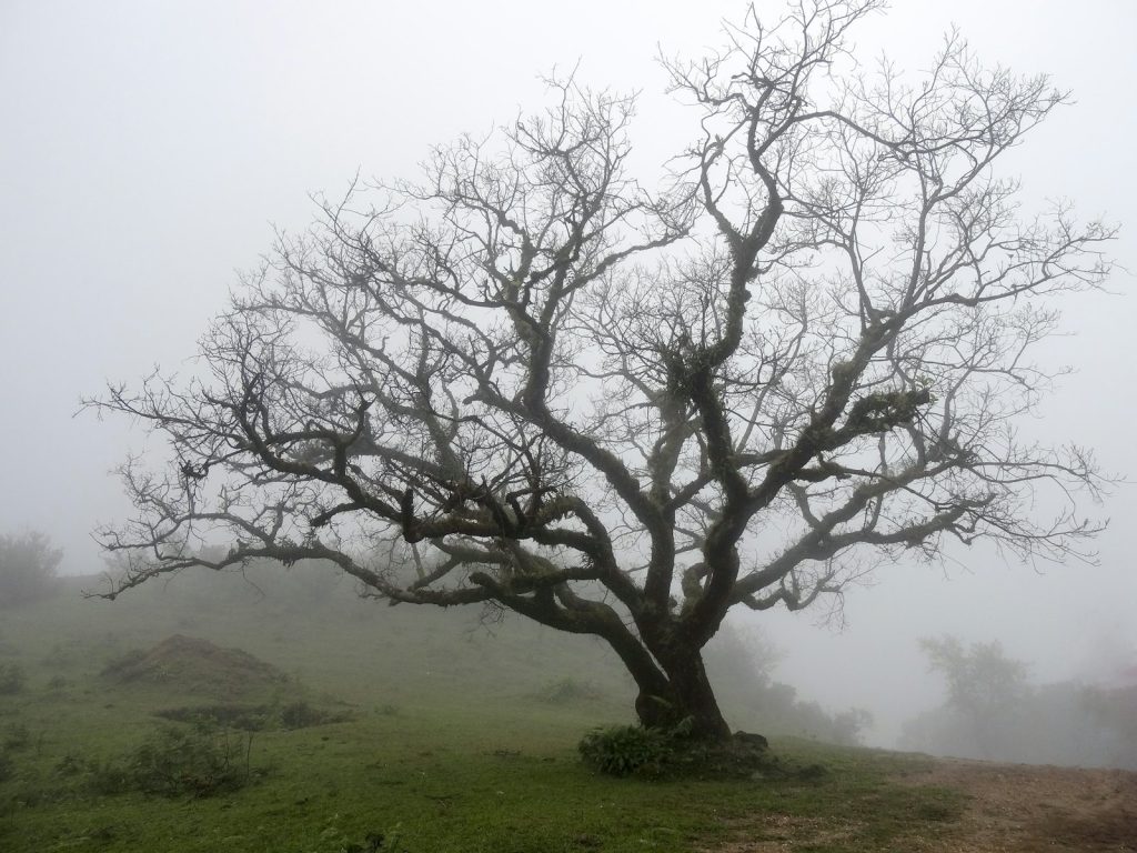 Walking by the Spirit